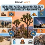 joshua tree national park guide